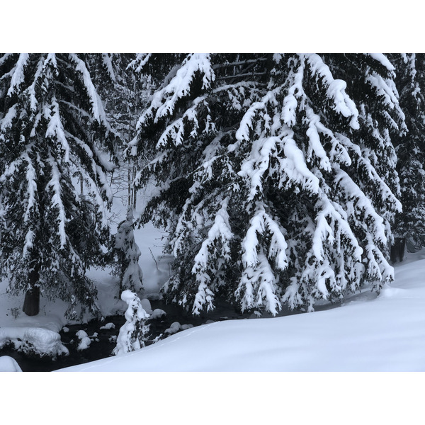 照片 法国(France) 拉克吕萨(La Clusaz) 2017-12 288