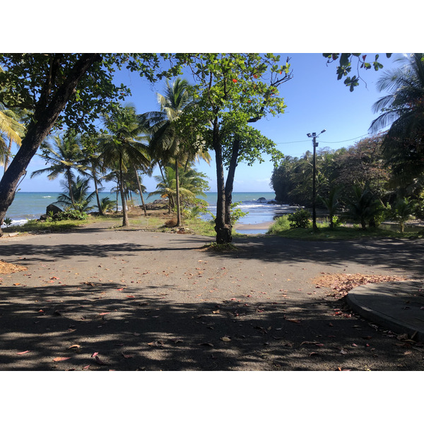 照片 瓜德罗普(Guadeloupe) 巴纳尼耶(Bananier) 2021-02 5