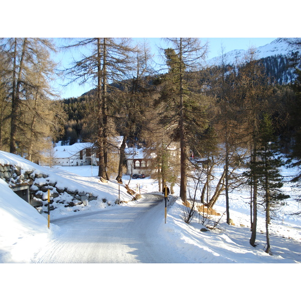 照片 瑞士(Switzerland) 圣莫里茨施拉里尼亚(St Moritz Schlarigna) 2007-01 38