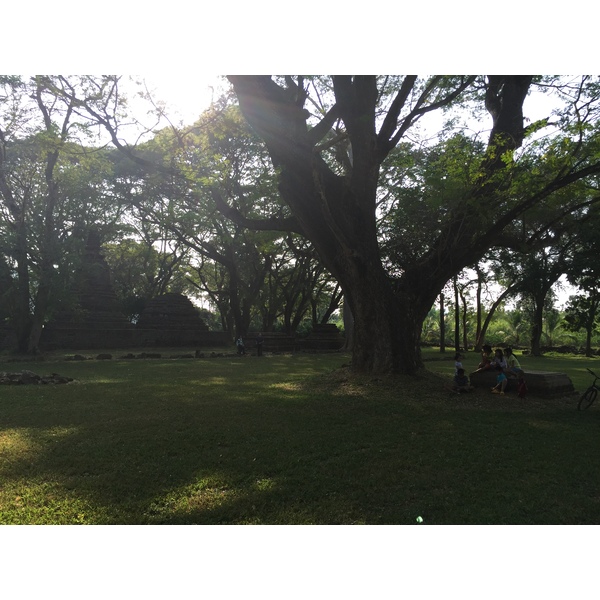 照片 泰国(Thailand) 西沙差那莱历史公园(Si satchanalai historical park) 2014-12 13