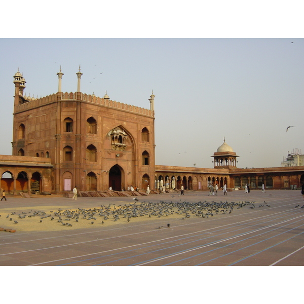 照片 印度(India) 德里(Delhi) 旧德里(Old Delhi) 2003-05 38