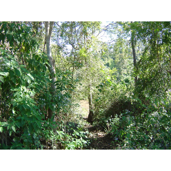 照片 泰国(Thailand) 邦玛帕(Pang Mapha) 2005-12 40