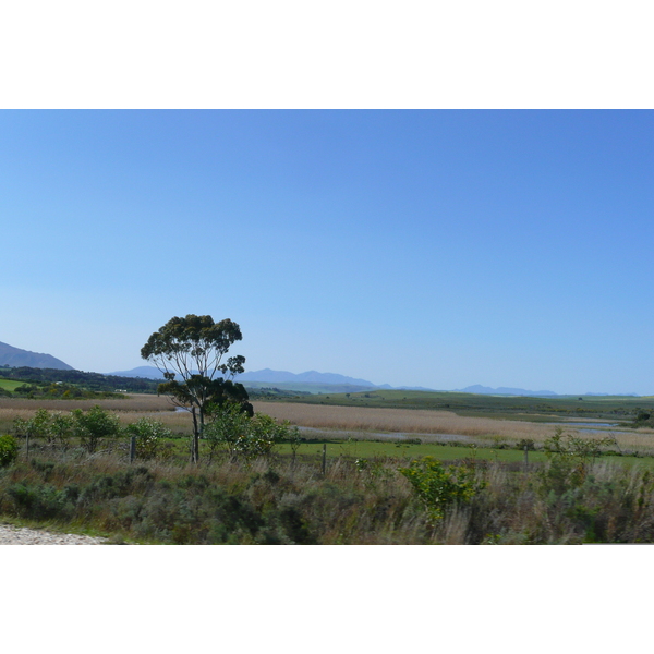照片 南非(South Africa) 开普敦至赫曼努斯公路(Cape Town to Harmanus road) 2008-09 18