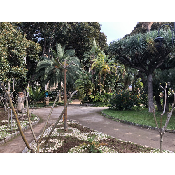 照片 意大利(Italy) 西西里岛(Sicily) 巴勒莫(Palermo) 诺曼王宫(Palazzo dei Normanni) 2020-02 30