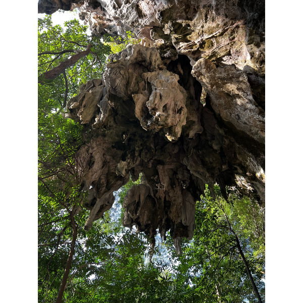 照片 泰国(Thailand) 甲米(Krabi) 2023-01 109