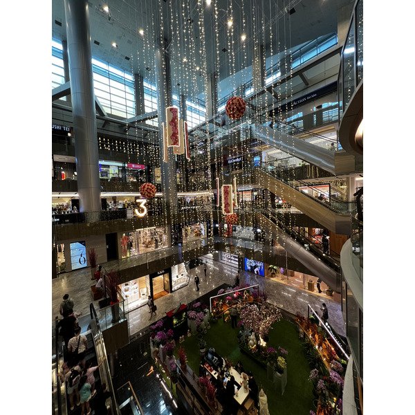 照片 新加坡(Singapore) 乌节路(Orchard road) 2023-01 61