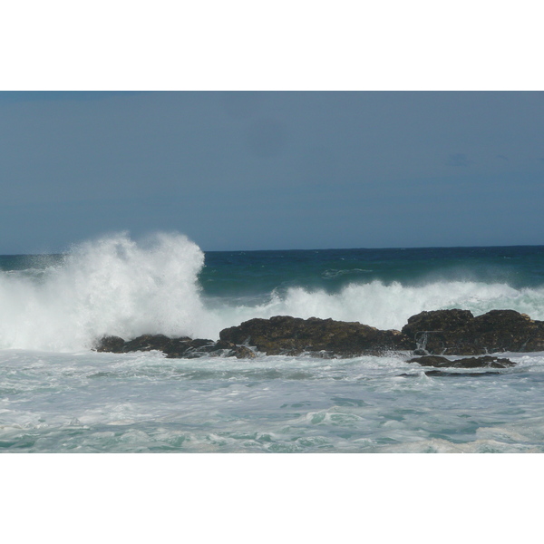 照片 南非(South Africa) 齐齐卡马国家公园(Tsitsikamma National Park) 2008-09 214