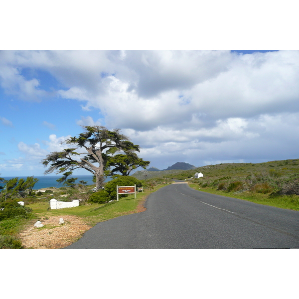 照片 南非(South Africa) 好望角(Cape of Good Hope) 开普角(Cape Point) 2008-09 33