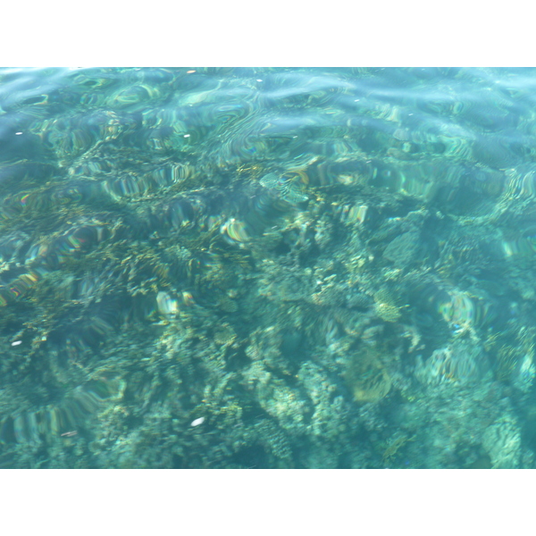 照片 斐济(Fiji) 阿穆努卡岛至漂流者岛(Amunuca Island to Castaway Island) 2010-05 56