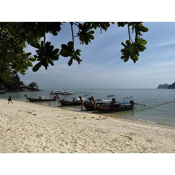 照片 泰国(Thailand) 大皮皮岛(Ko Phi Phi Don) 2021-12 59