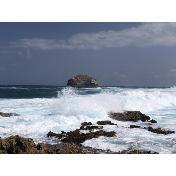 照片 瓜德罗普(Guadeloupe) 城堡角(Castle Point) 2021-02 48