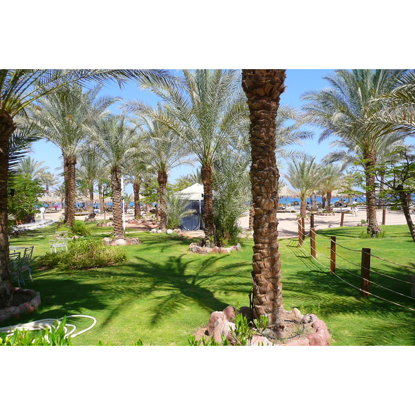 照片 埃及(Egypt) 沙姆沙伊赫(Sharm el Sheikh) 2008-06 31