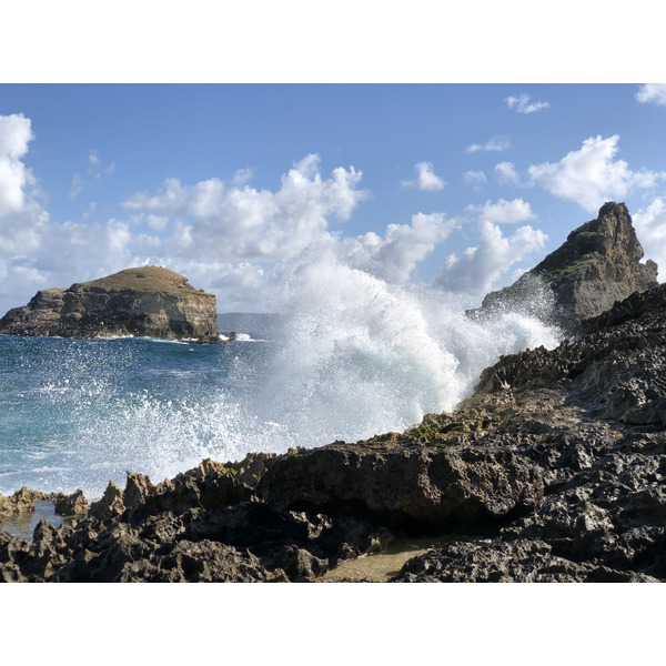 照片 瓜德罗普(Guadeloupe) 城堡角(Castle Point) 2021-02 61