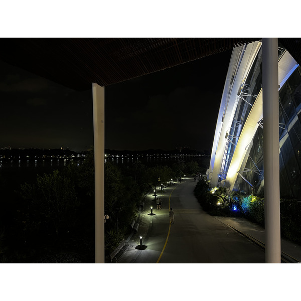 照片 新加坡(Singapore) 滨海湾花园(Garden by the bay) 2023-01 51