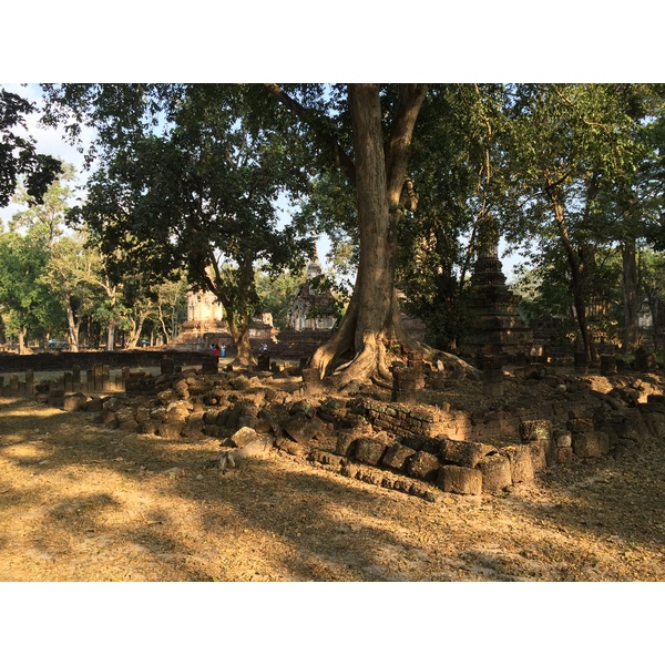 照片 泰国(Thailand) 西沙差那莱历史公园(Si satchanalai historical park) 2014-12 187