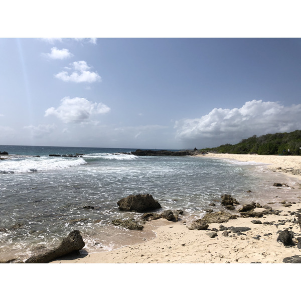 照片 瓜德罗普(Guadeloupe) 城堡角(Castle Point) 2021-02 310