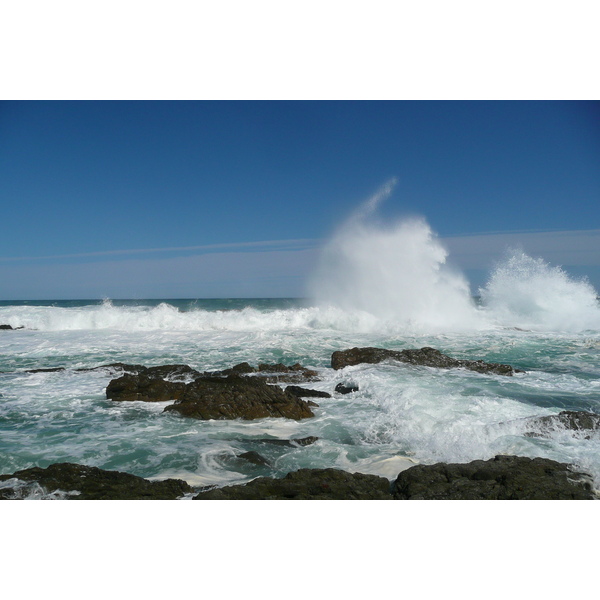 照片 南非(South Africa) 齐齐卡马国家公园(Tsitsikamma National Park) 2008-09 233