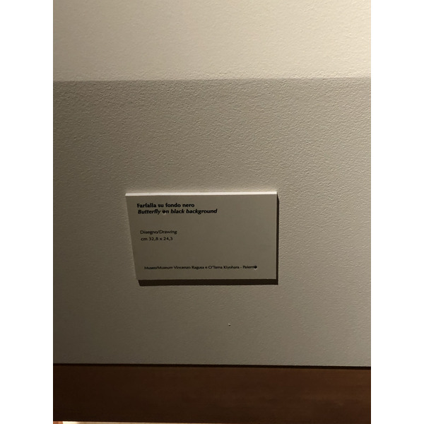 照片 意大利(Italy) 西西里岛(Sicily) 巴勒莫(Palermo) 诺曼王宫(Palazzo dei Normanni) 2020-02 51