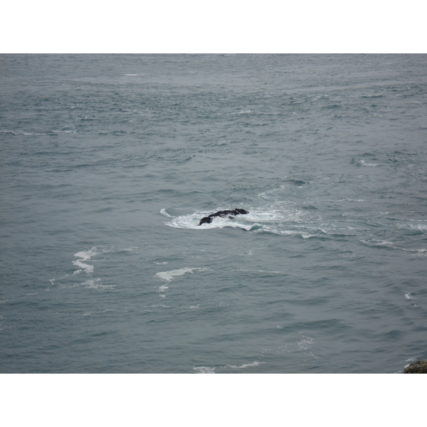 照片 英国(United Kingdom) 彭布罗克郡(Pembrokeshire) 马丁斯黑文(Martins Havens) 2006-05 20