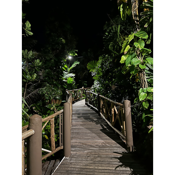 照片 泰国(Thailand) 普吉岛(Phuket) 卡伦海滩(Karon Beach) 岩石上餐厅(On the rock Restaurant) 2021-12 6