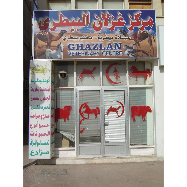 照片 阿联酋(United Arab Emirates) 艾因(Al Ain) 2005-03 64