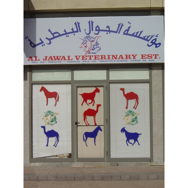 照片 阿联酋(United Arab Emirates) 艾因(Al Ain) 2005-03 60