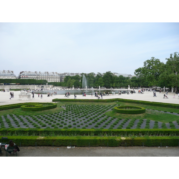 照片 法国(France) 巴黎(Paris) 杜乐丽花园(Garden of Tuileries) 2007-05 310