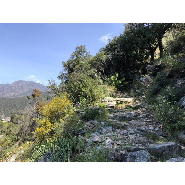 照片 法国(France) 科西嘉岛(Corsica) 农扎(Nonza) 2021-05 9
