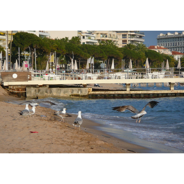 照片 法国(France) 戛纳(Cannes) 海滩(Beach) 2008-04 38