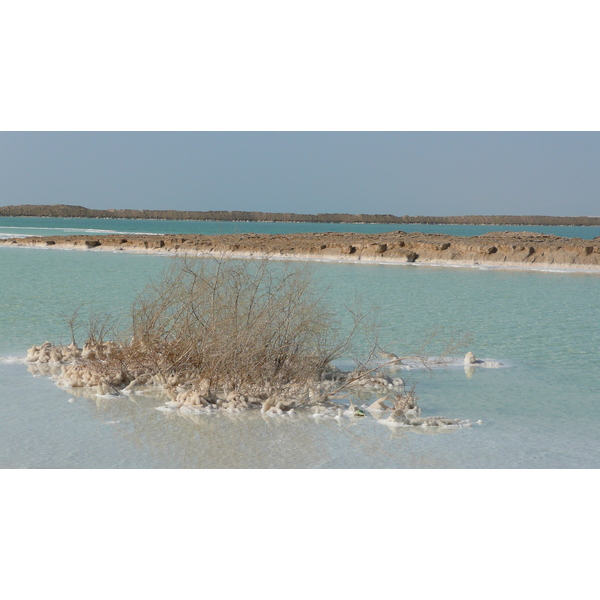 照片 以色列(Israel) 埃因博克(Boqeq) 2007-06 133