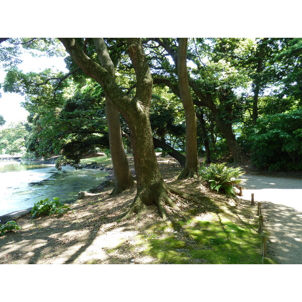照片 日本(Japan) 东京(Tokyo) 滨离宫恩赐庭园(Hama rikyu Gardens) 2010-06 87