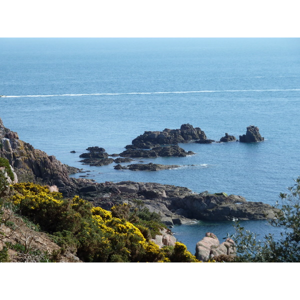 照片 泽西岛(Jersey) 2010-04 216