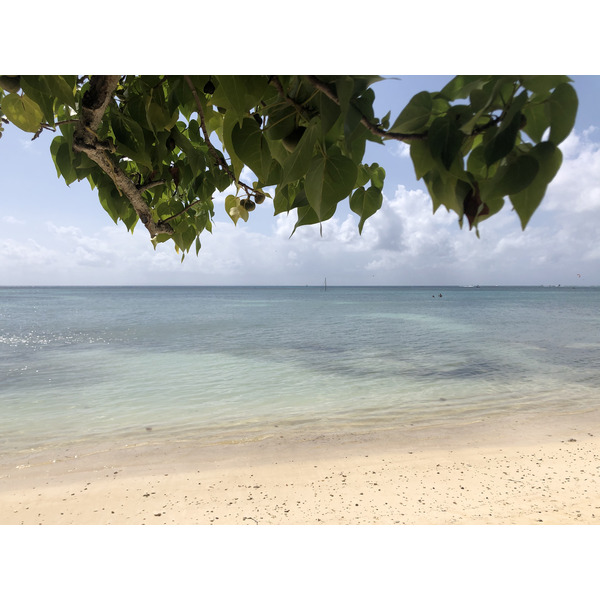 照片 瓜德罗普(Guadeloupe) 圣弗朗索瓦(Saint Francois) 2021-02 40