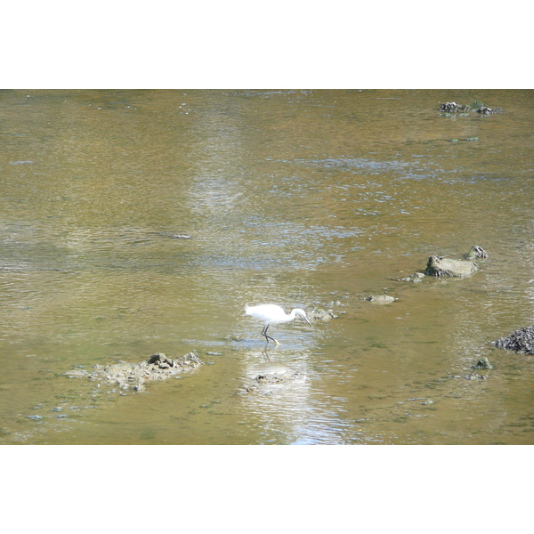 照片 法国(France) 蓬拉贝(Pont l'abbe) 2008-07 0