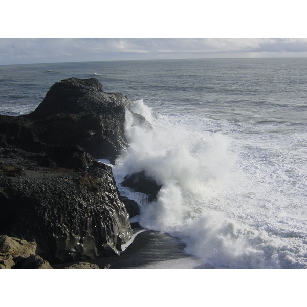 照片 冰岛(Iceland) 迪霍拉伊(Dyrholaey) 2003-03 18