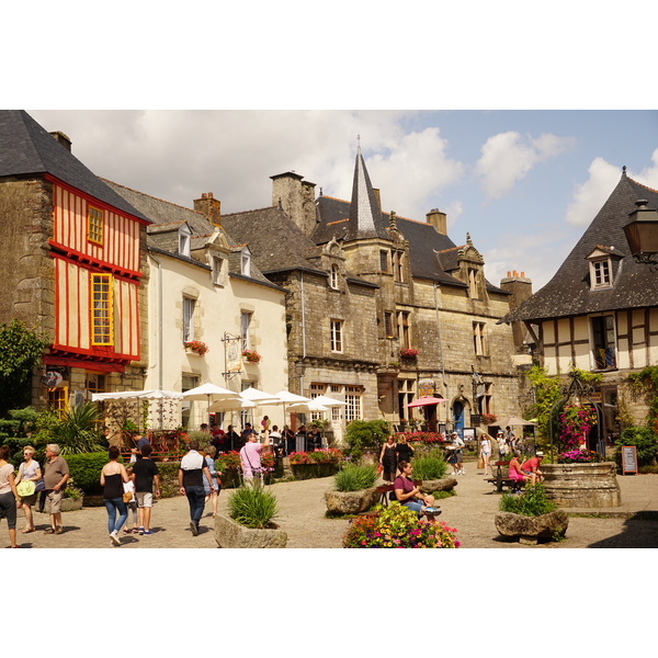 照片 法国(France) 罗什福尔昂泰尔(Rochefort en terre) 2017-08 47
