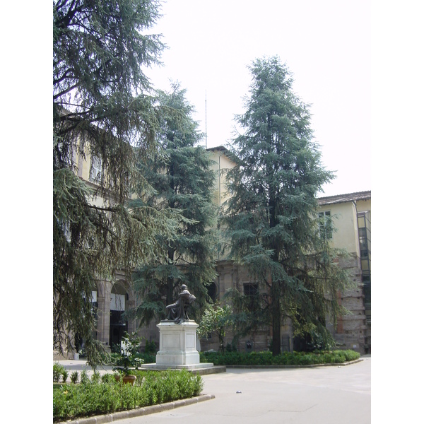 照片 意大利(Italy) 卢卡(Lucca) 2002-07 39