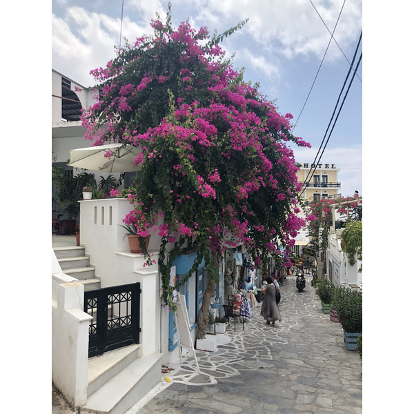 照片 希腊(Greece) 纳克索斯岛(Naxos) 2018-07 4