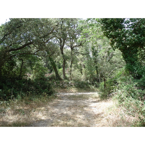照片 法国(France) 索米耶尔(Sommieres) 2006-06 108