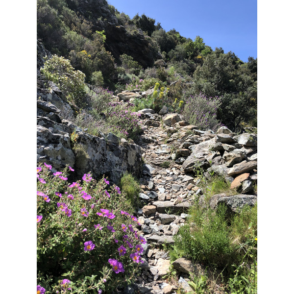 照片 法国(France) 科西嘉岛(Corsica) 农扎(Nonza) 2021-05 6