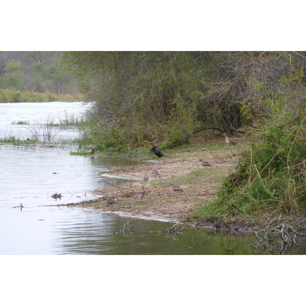 照片 南非(South Africa) 克鲁格国家公园(Kruger National Park) 萨布尔河(Sable River) 2008-09 36