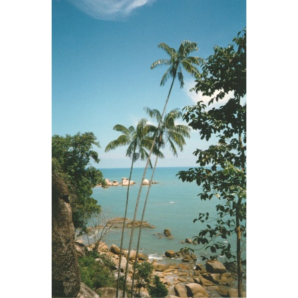 照片 马来西亚(Malaysia) 1994-02 22
