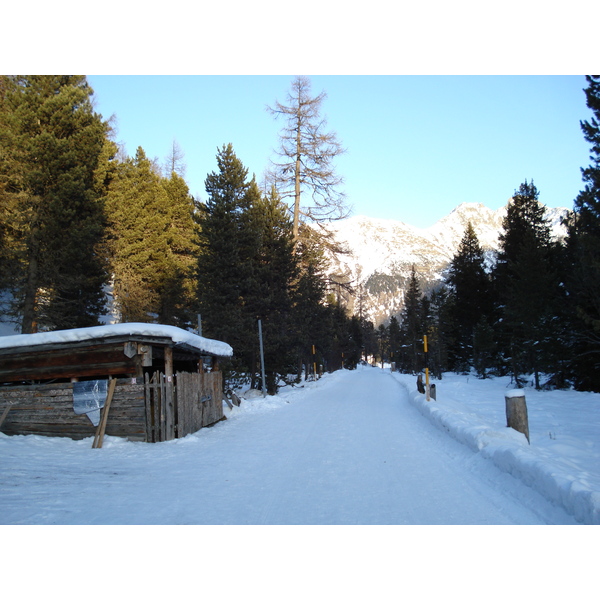 照片 瑞士(Switzerland) 圣莫里茨施拉里尼亚(St Moritz Schlarigna) 2007-01 23