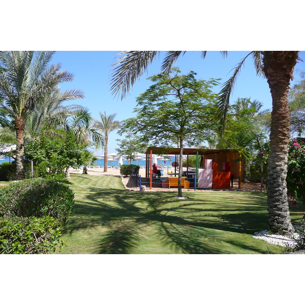 照片 埃及(Egypt) 沙姆沙伊赫(Sharm el Sheikh) 2008-06 10