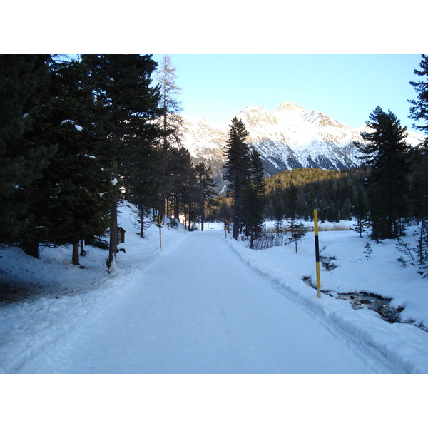 照片 瑞士(Switzerland) 圣莫里茨施拉里尼亚(St Moritz Schlarigna) 2007-01 69