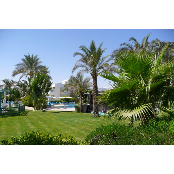 照片 埃及(Egypt) 沙姆沙伊赫(Sharm el Sheikh) 2008-06 7