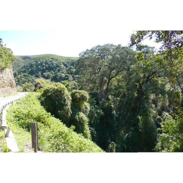 照片 南非(South Africa) 自然谷(Nature's Valley) 2008-09 73