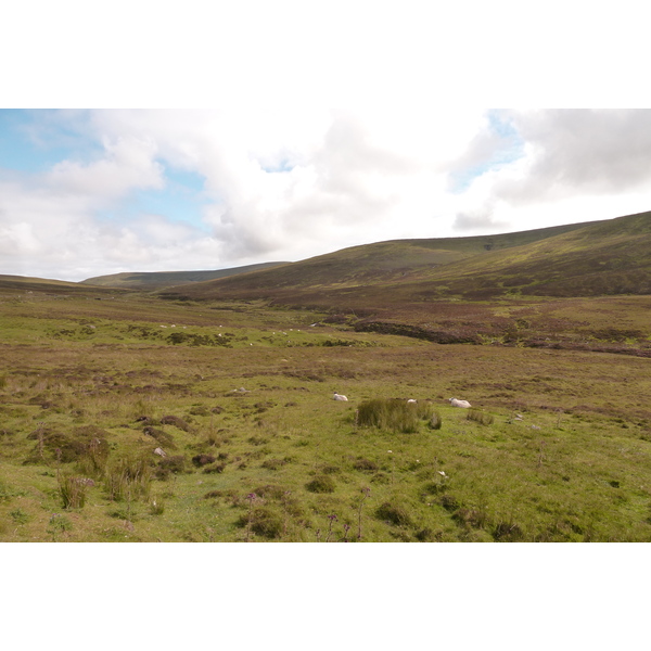 照片 英国(United Kingdom) 斯凯岛(Skye) 2011-07 175