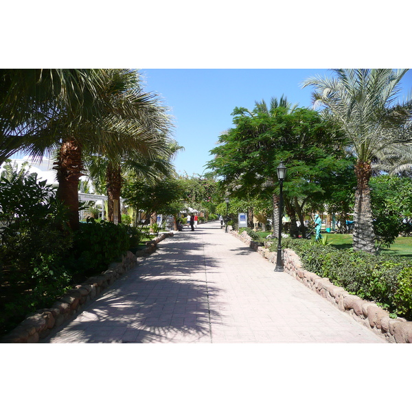 照片 埃及(Egypt) 沙姆沙伊赫(Sharm el Sheikh) 2008-06 83