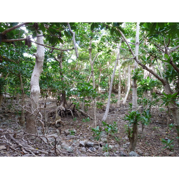 照片 斐济(Fiji) 漂流者岛(Castaway Island) 2010-05 53